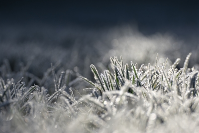 Frost in Stadtlohn 