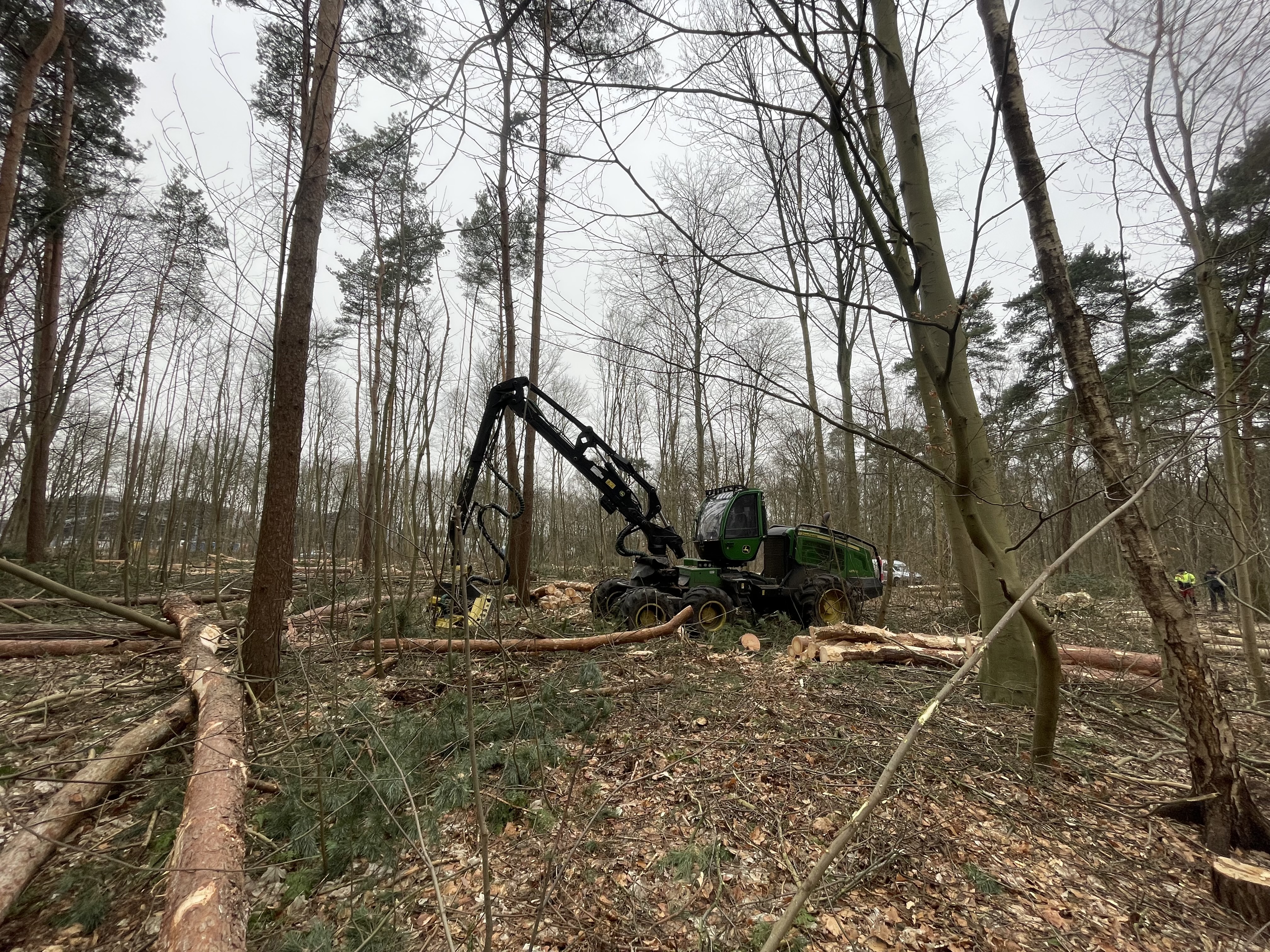 ZBH beginnt mit Holzernte im Arenbergischen Wald - Baumbestand durch Pflegeeingriffe zukunftsfähig machen
