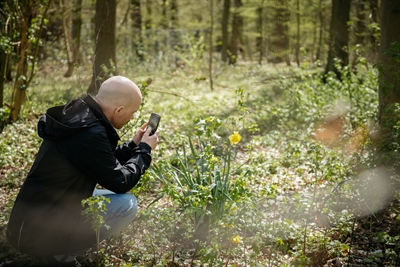 Über die App ObsIdentify können Naturbeobachtungen per Foto gemeldet werden. Foto: LWL/Steinweg