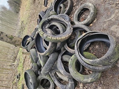 Altreifenfund Holzen (2)