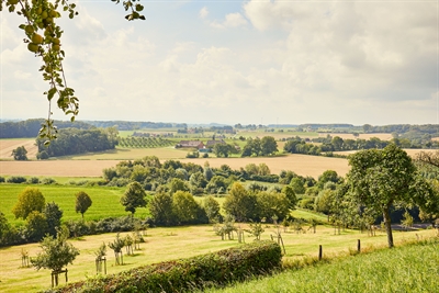 © Münsterland e.V./Philipp Fölting