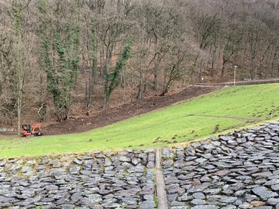 Baumfällarbeiten am Seilersee