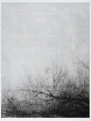 C.Berg_Verlassener Garten_1 von 2_2016-2018 