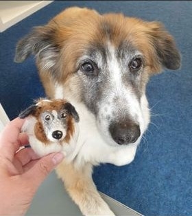 Im Rahmen der Sonderausstellung „Hunde. Treue Gefährten des Menschen