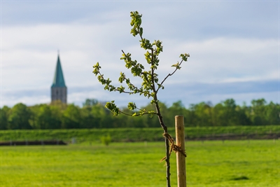 © Thorsten Hübner/Stadt Hamm