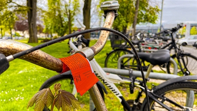 © Stadt Soest