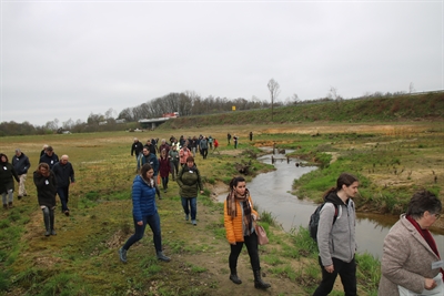 Der Borkener Döringbach in seinem renaturierten Abschnitt