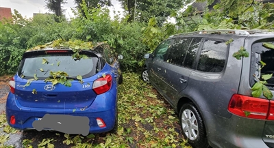 Umgestürzte Bäume in Fröndenberg