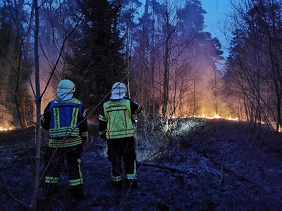 Im März 2025 brannte eine große Waldfläche im Ortsbereich Stadtlohn. Foto: Feuerwehr Stadtlohn 