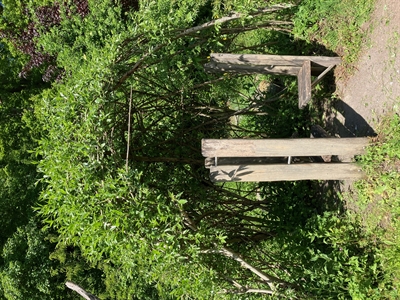 Natur-Erlebnis-Raum3