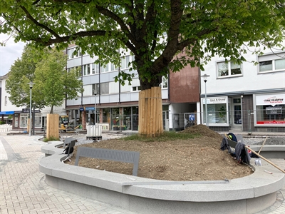 Bau Neheim Engelbert - Kastanie