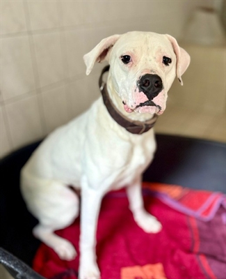 Tier der Woche Jakob 