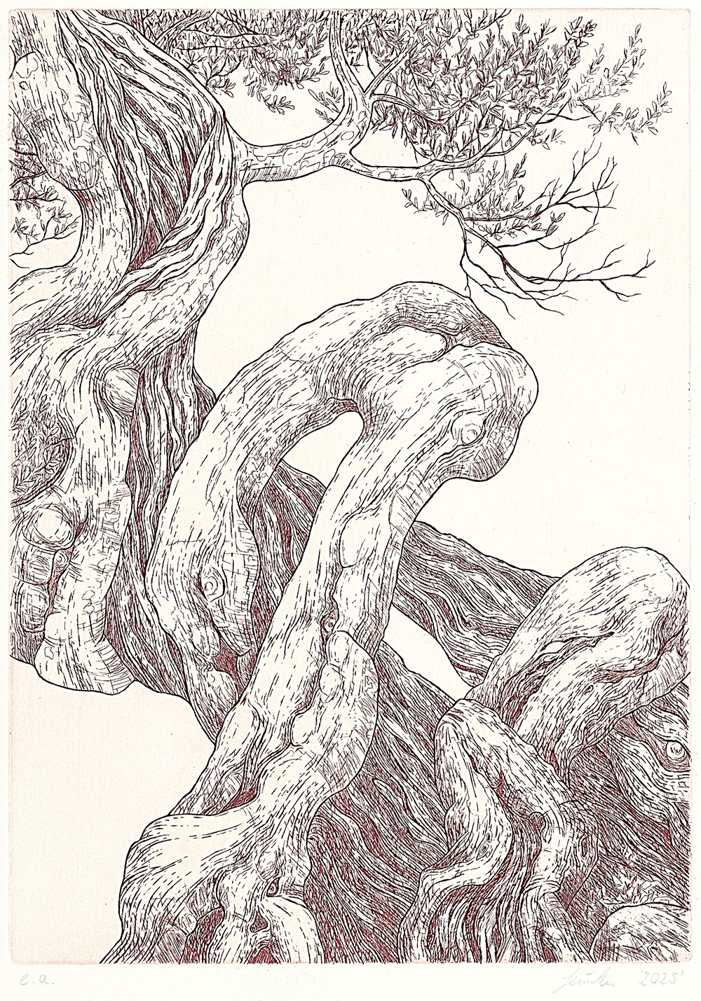 Künstlerinnenführung zur Ausstellung „Paul Eliasberg: Verzauberte Räume“