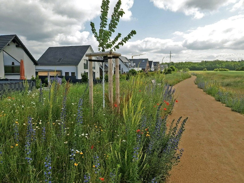 Spielplatz im Neubaugebiet Stöckheim-Süd wird eröffnet