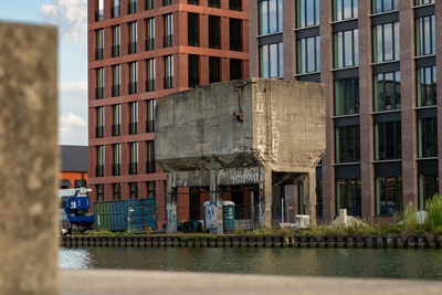 Elefant am Hafen