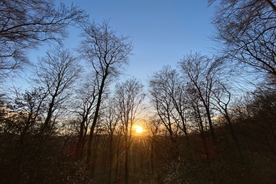 © Stadt Iserlohn / Pressestelle