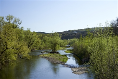 Ruhr in Arnsberg