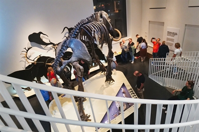 Geomuseum 