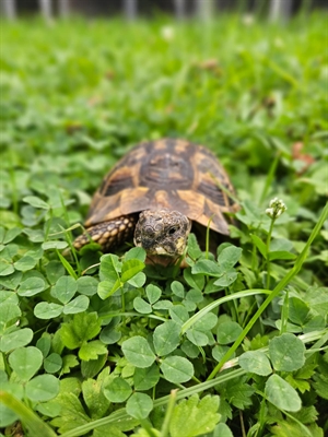 Tier der Woche_Gabriel