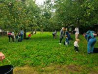 © Naturpark Schwalm-Nette Alexander Brillen