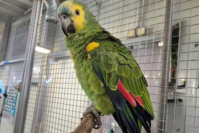 © Tierheim Kreis Unna