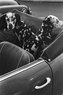 © Estate Louis Stettner