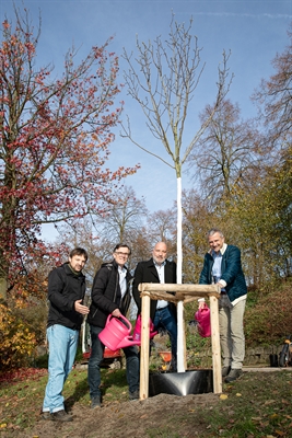 Baumpflanzung Philosophenweg