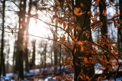© Tourismus NRW e. V.