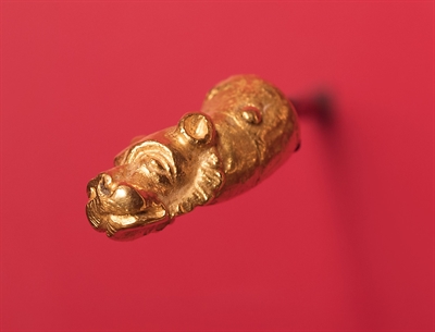 Ausstellungsobjekt goldenes Löwenköpfchen (Frontalaufnahme)