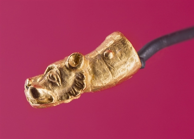 Ausstellungsobjekt goldenes Löwenköpfchen (Seitansicht)