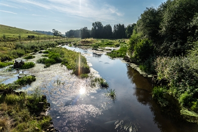 © Marianne Bellenhaus