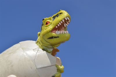 © Pixabay / ErikaWittlieb