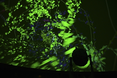 © Kimberly Jüschke