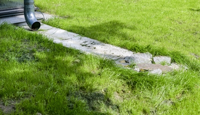 © Kirsten Neumann/EGLV