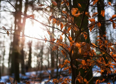 © Tourismus NRW e.V.