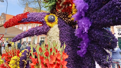 © Stadt Osnabrück, Claudia Ruschmeier