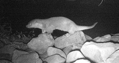 © ABU, Biologische Station Soest