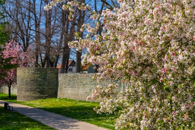 © Wirtschaft & Marketing Soest / Gero Sliwa