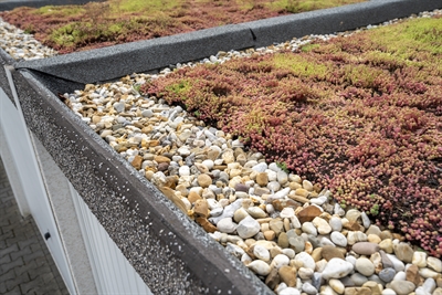 © Kirsten Neumann/EGLV