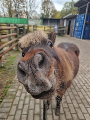 © Stadt Dortmund / Joana Jakscht 