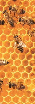 © shutterstock/mykhailo pavlenko