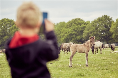 © Münsterland e.V./Philipp Fölting
