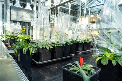 © Stadt Münster/Michael Lyra