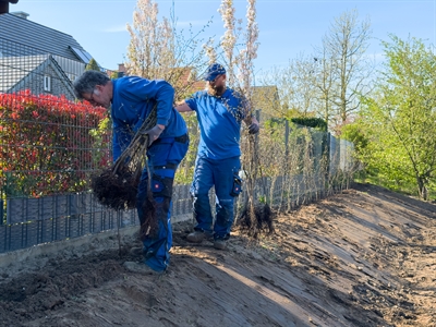 © Stadt Ahaus - Stefan Hilbring