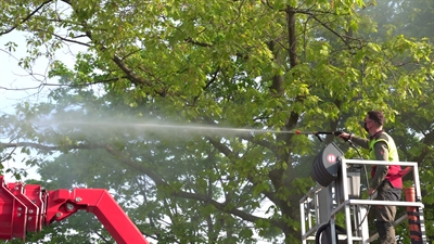 © Stadt Münster/Jan Hullmann