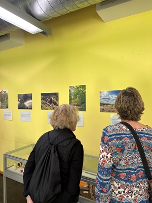 © Stadt Hanau / Umweltzentrum