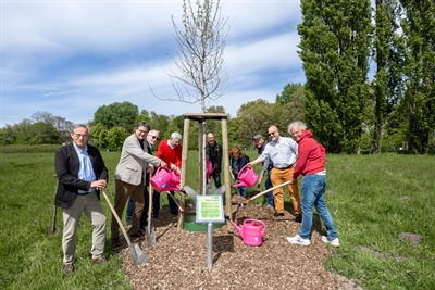 © Stadt Münster/MünsterView.
