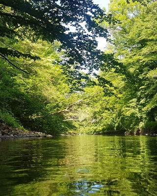 © Stadt Hanau / Umweltzentrum