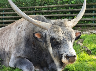 © Foto: Tiergarten Mönchengladbach