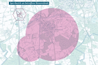 © Stadt Münster